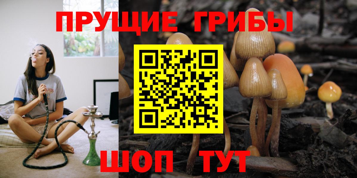 Псилоцибиновые грибы ЛСД Майский
